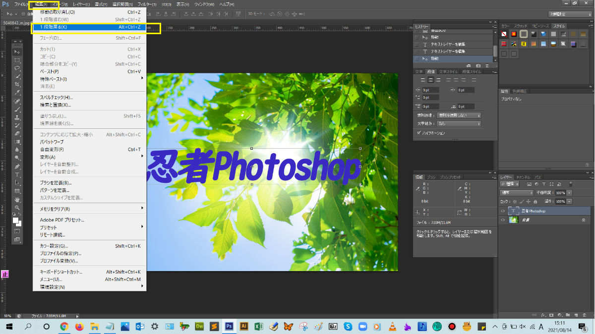 作業履歴をさかのぼる_【忍者Photoshop】初心者のための使い方学習オンライン講座