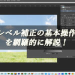 【忍者Photoshop】レベル補正の基本操作を網羅的に解説！