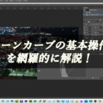 【忍者Photoshop】トーンカーブの基本操作を網羅的に解説！