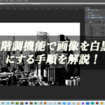 【忍者Photoshop】2階調機能で画像を白黒にする手順を解説！